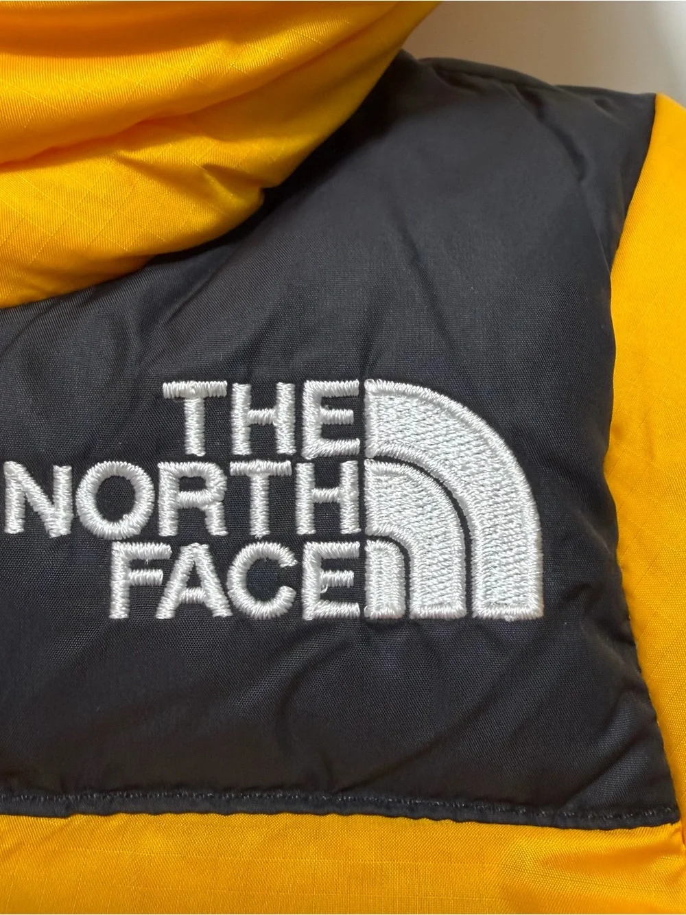 The North Face north face